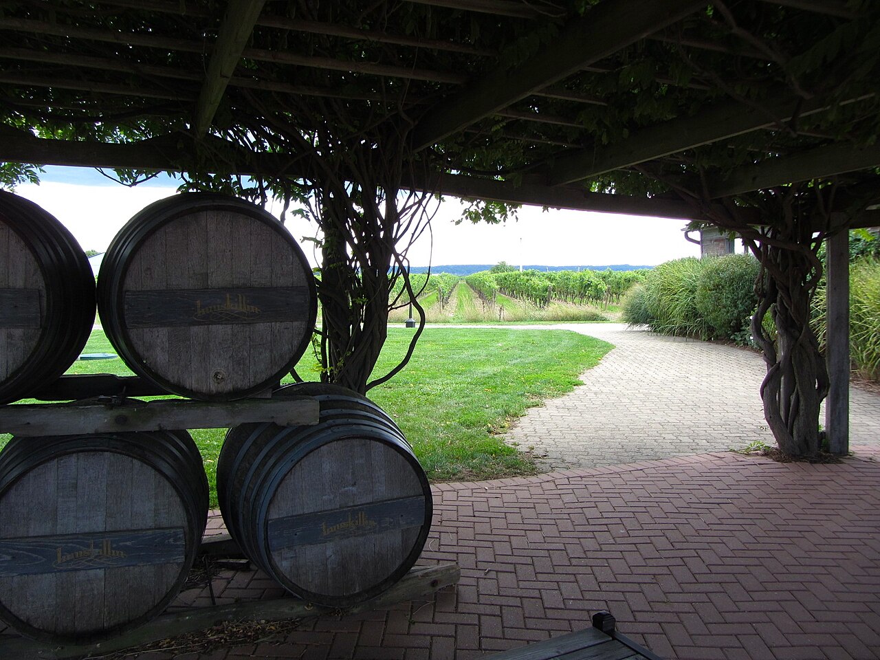 Wine barrels beside the vineyard at Inniskillin, Niagara