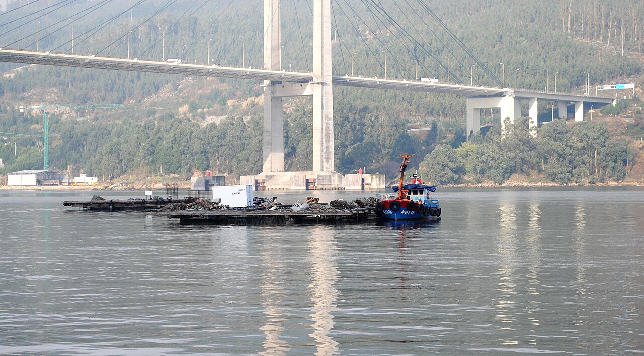 A working boat beside a mussel farming raft in Galicia