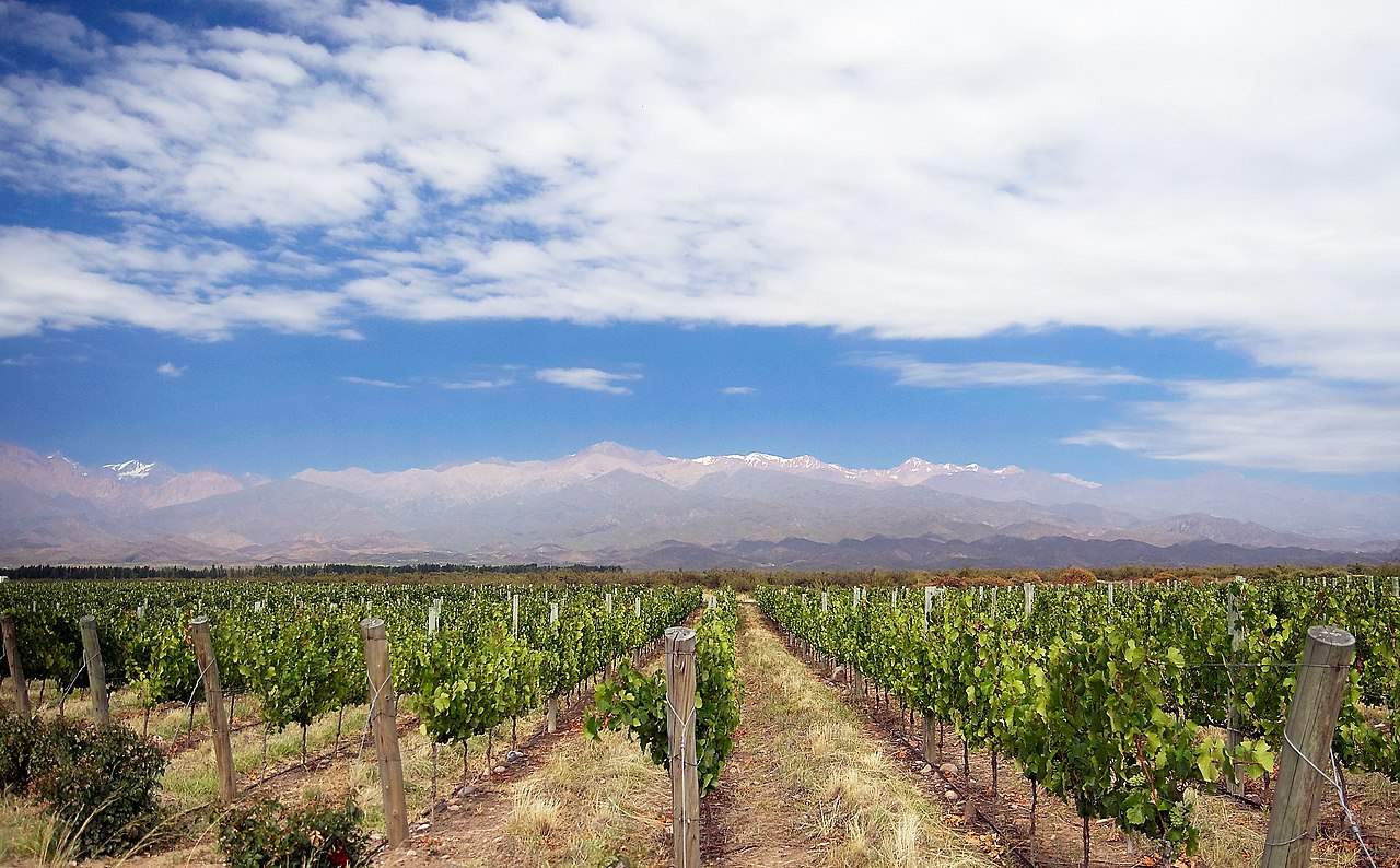 Tasting in Mendoza