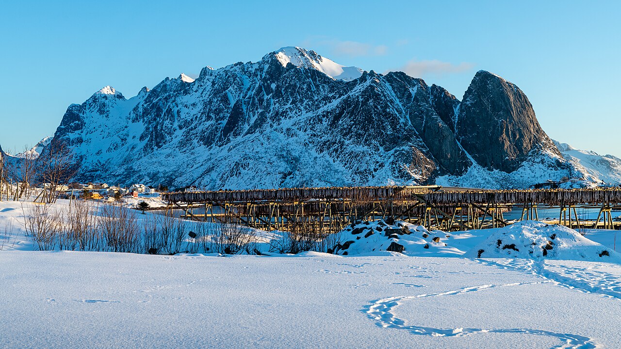 Stockfish drying racks at Reine, Lofoten