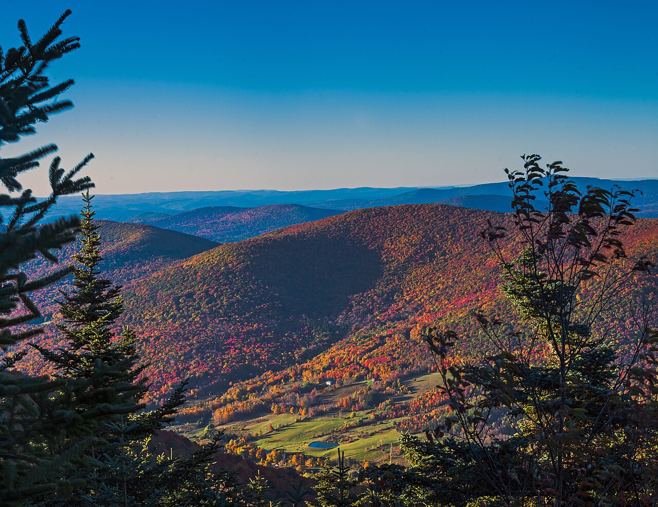 Autumn forest in the Catskill Mountains