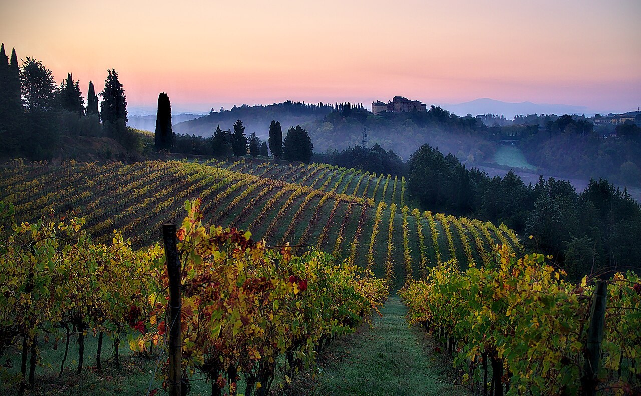 Vineyards in Tuscany at sunrise