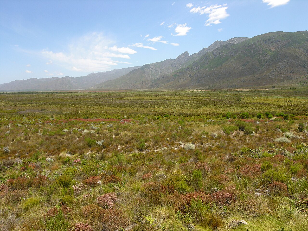 Workshop in Stellenbosch