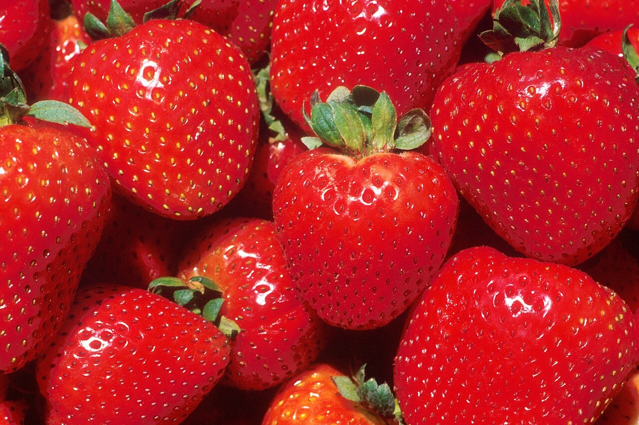 Fresh red strawberries