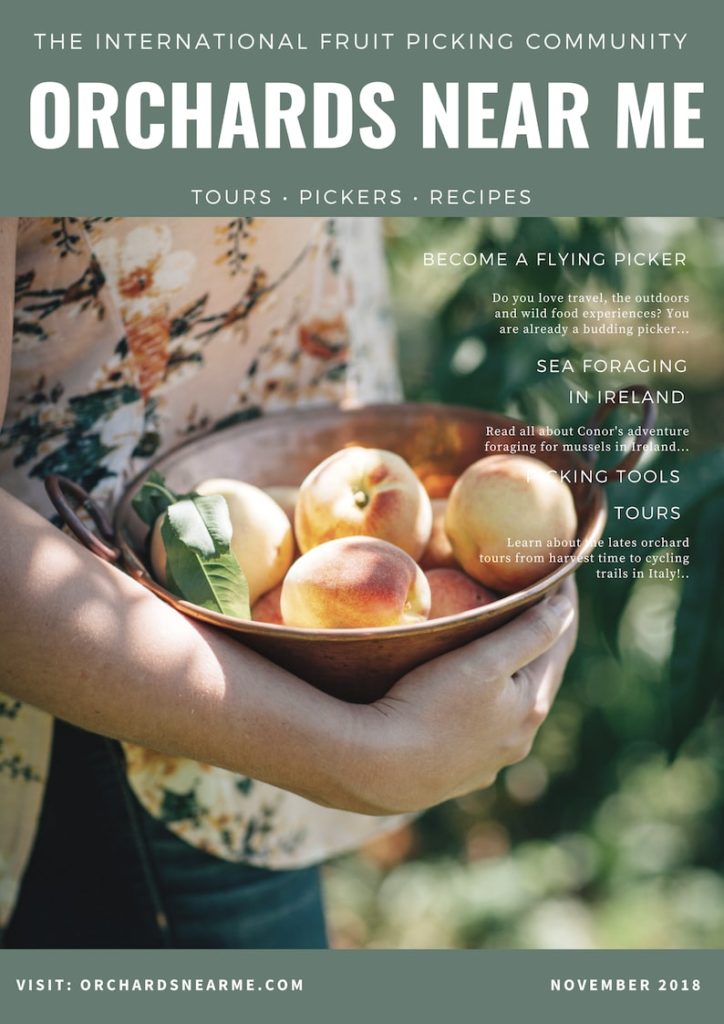 Get a brochure Orchards Near Me
