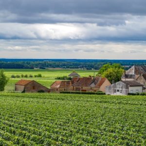 wine-and-dine-experience-burgundy-