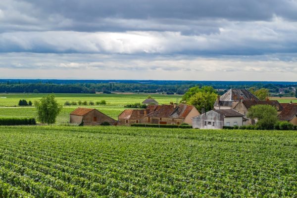 wine-and-dine-experience-burgundy-