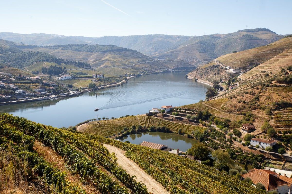 douro-valley-portugal-tour-orchards-near-me
