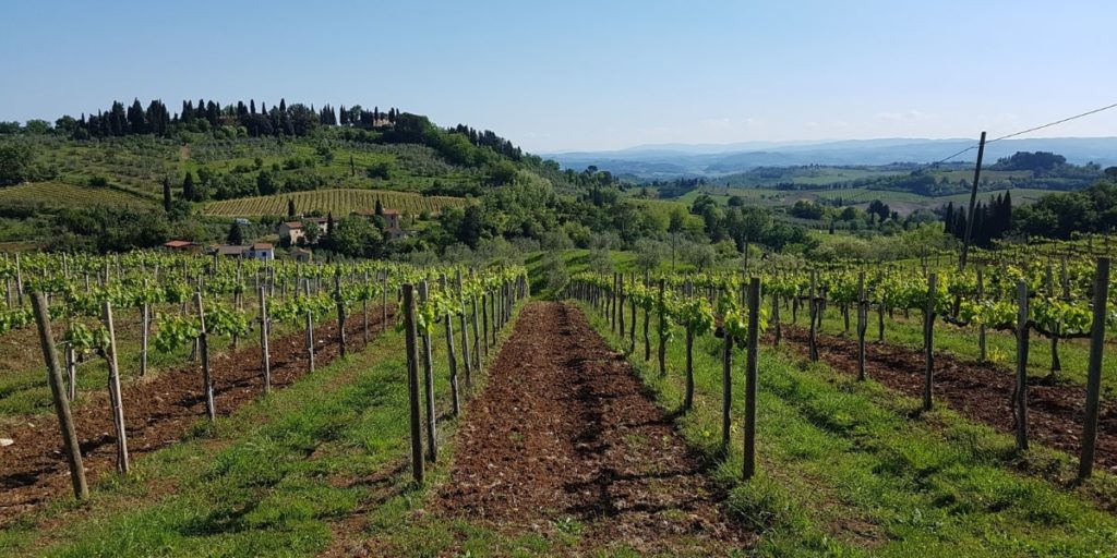 Map of the Italian Wine Regions Orchards Near Me