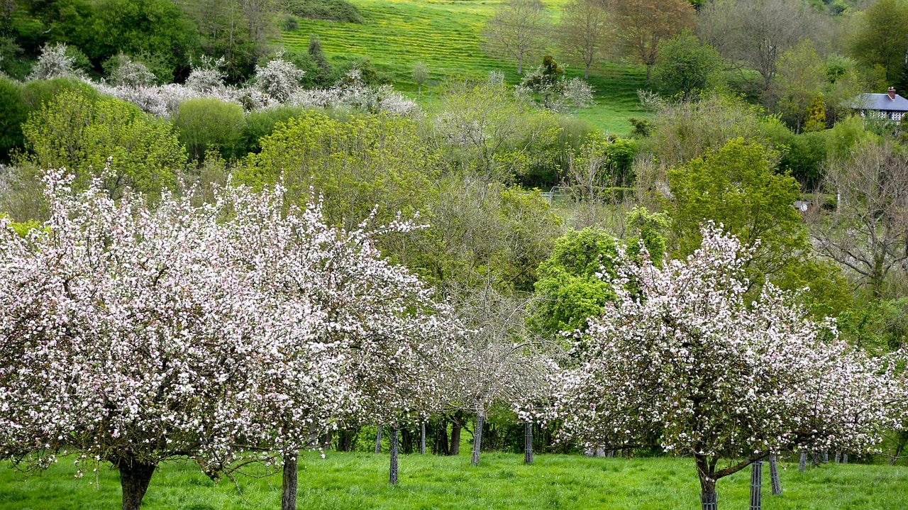 A Wellness Retreat on the French Fruit Trail - Orchards Near Me