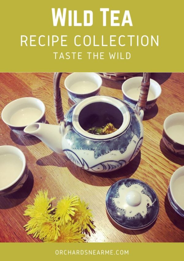 wild-herbal-tea-recipe-collection-orchards-near-me-cover