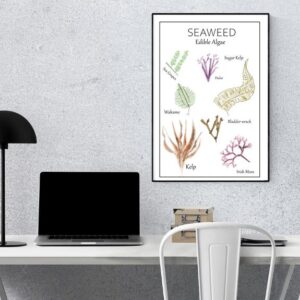 seaweed-poster-wall-art-office